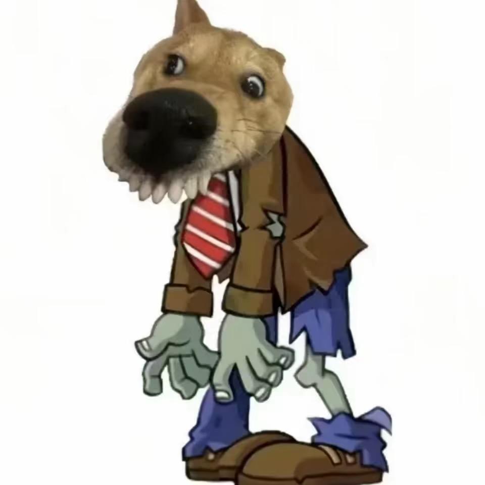 懒y.