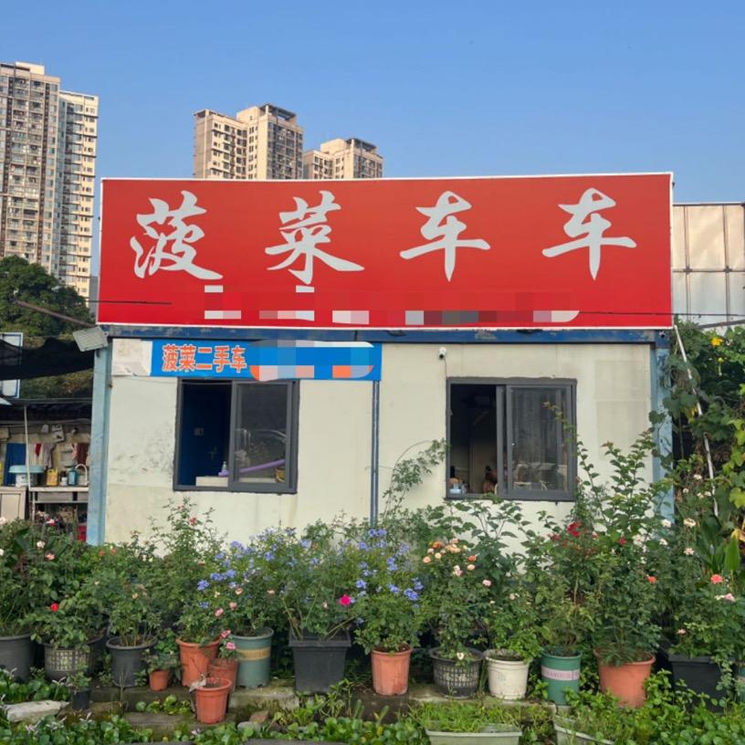 重庆菠菜二手车