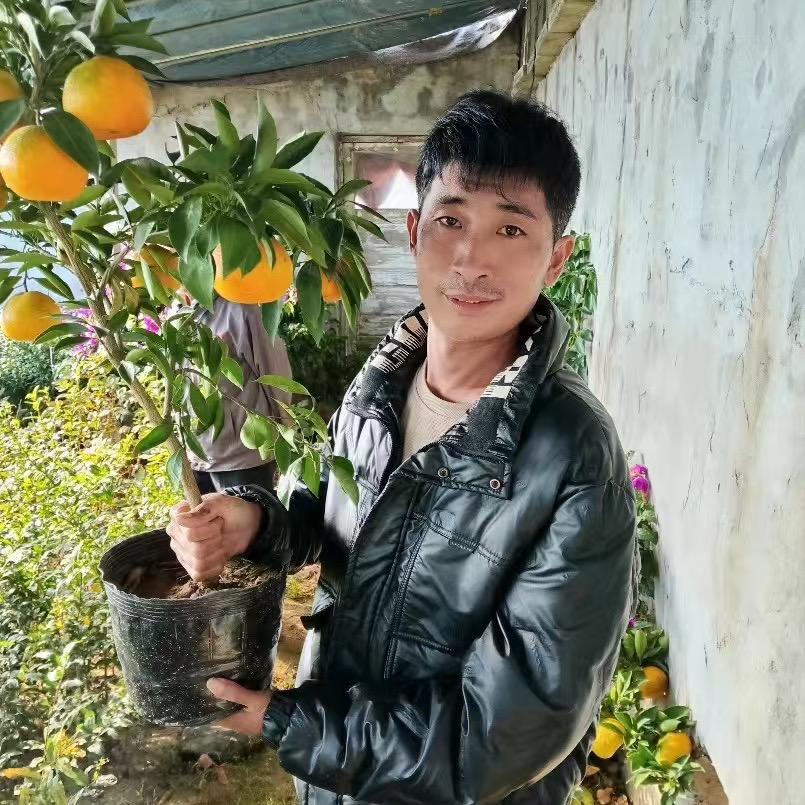 永卉果树苗木专营店