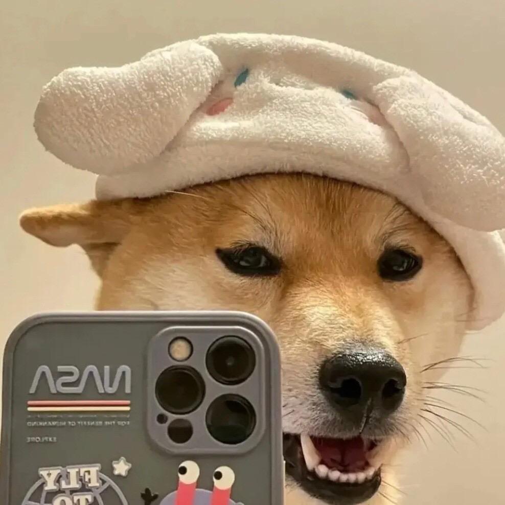 .十二.🌈