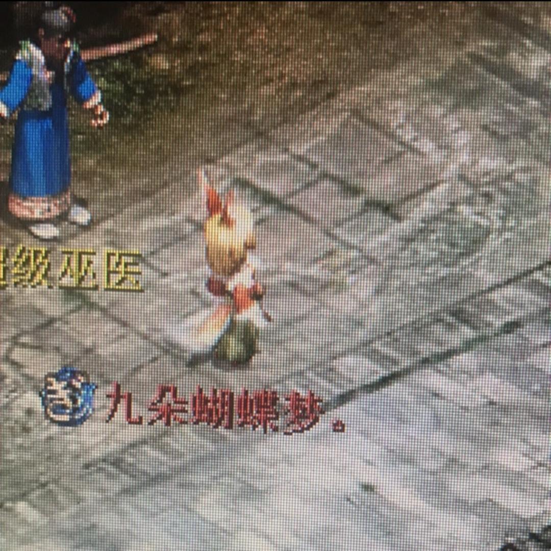 新区九朵蝴蝶梦