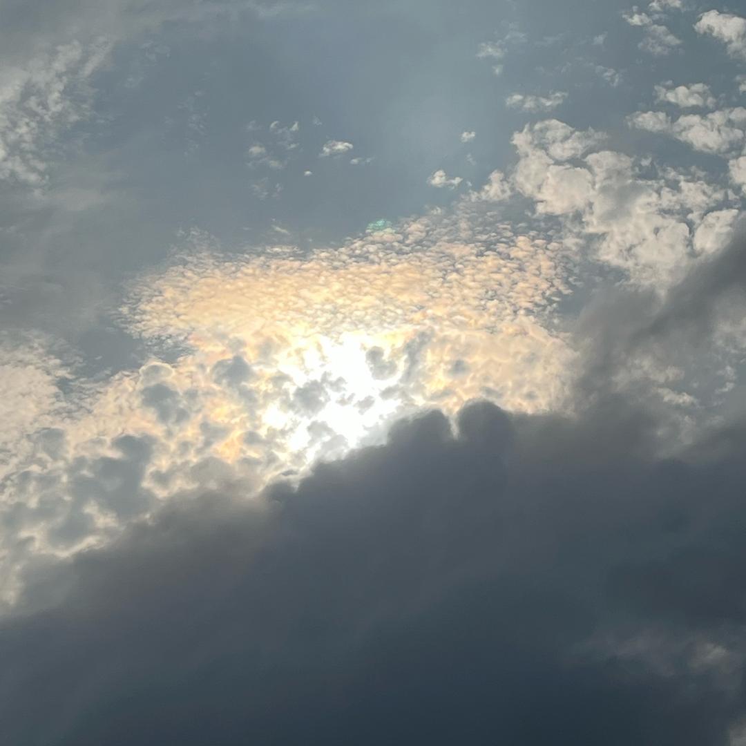༺ༀ༂༂ༀ༻