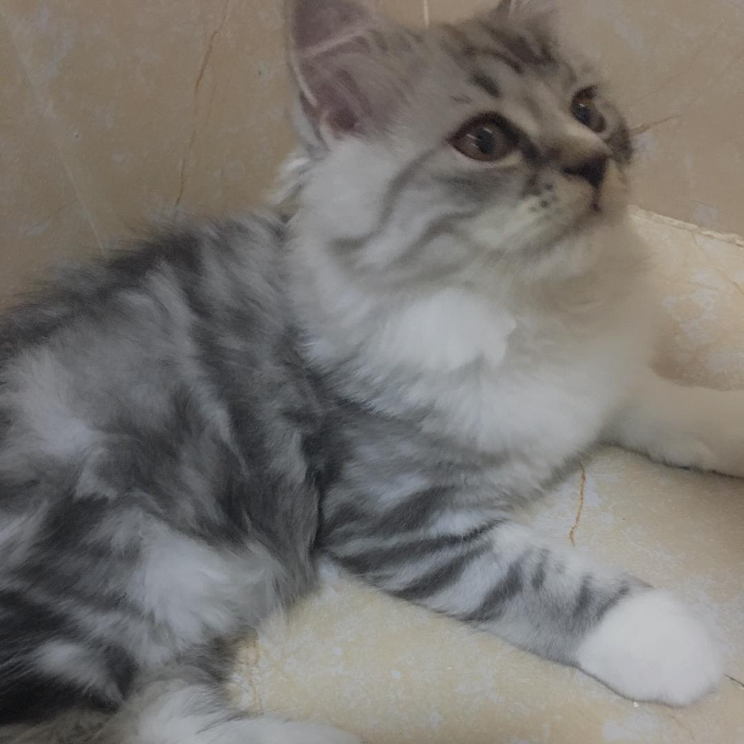 🌈唱不了一点(见过单依纯 邝玲玲版）