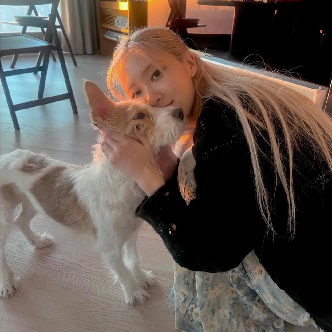 椰ㅤㅤㅤㅤㅤㅤ 子     ㅤㅤㅤ