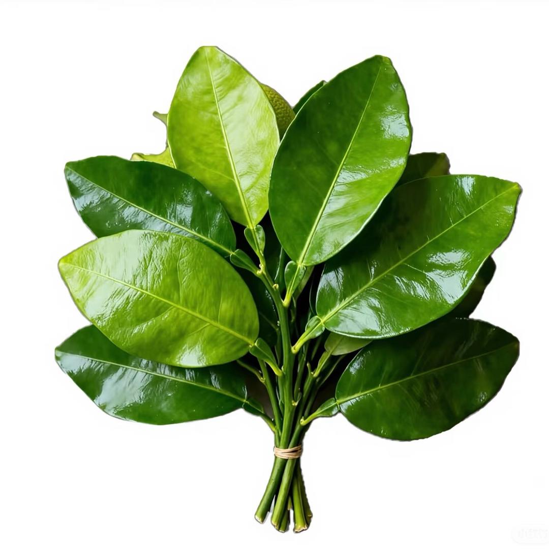 薪响事成_鱼呆呆