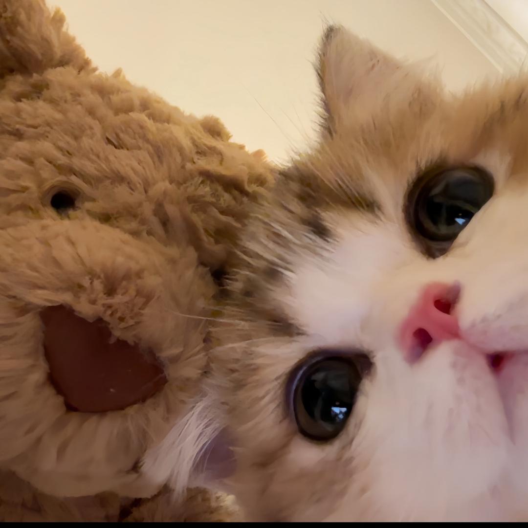 219