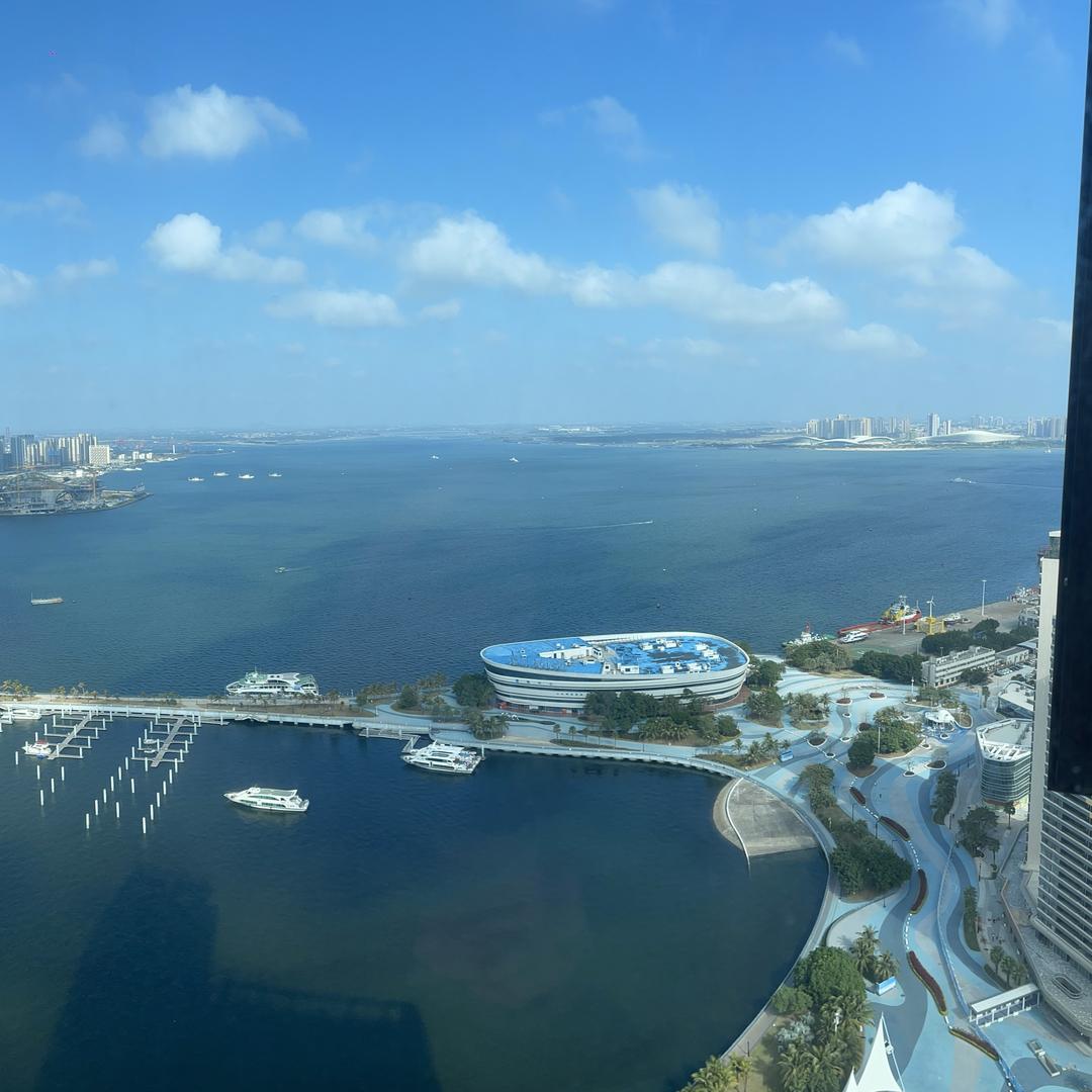 鹅鹅鹅向天鹅。