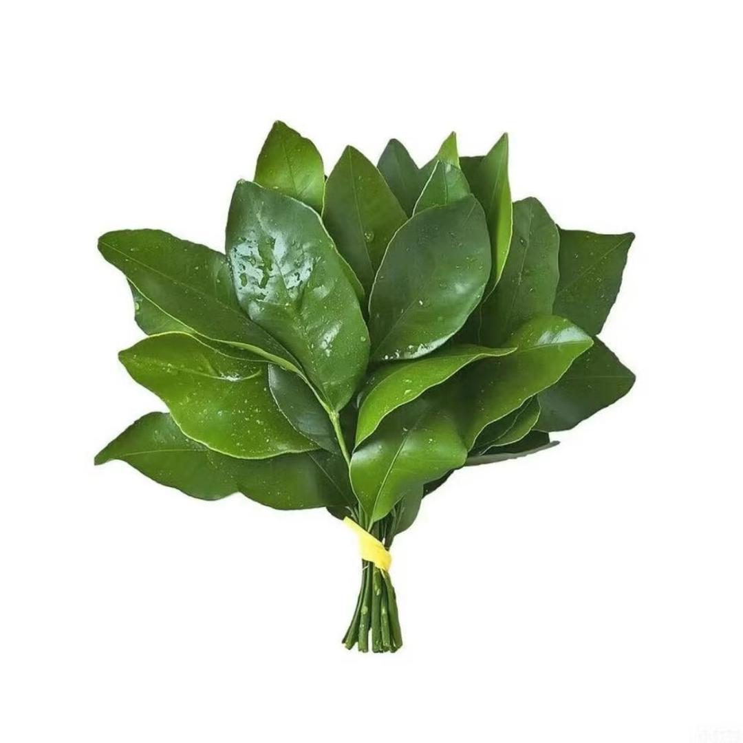 别来烦我