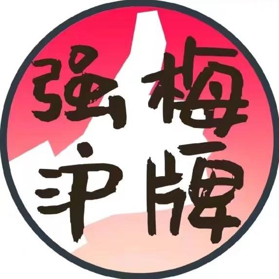 强梅沪牌&上海车务通