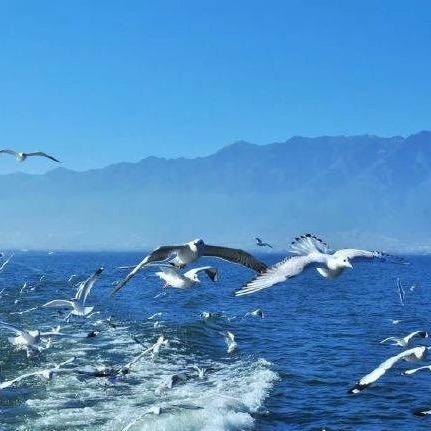 抖音嗨是不是你？