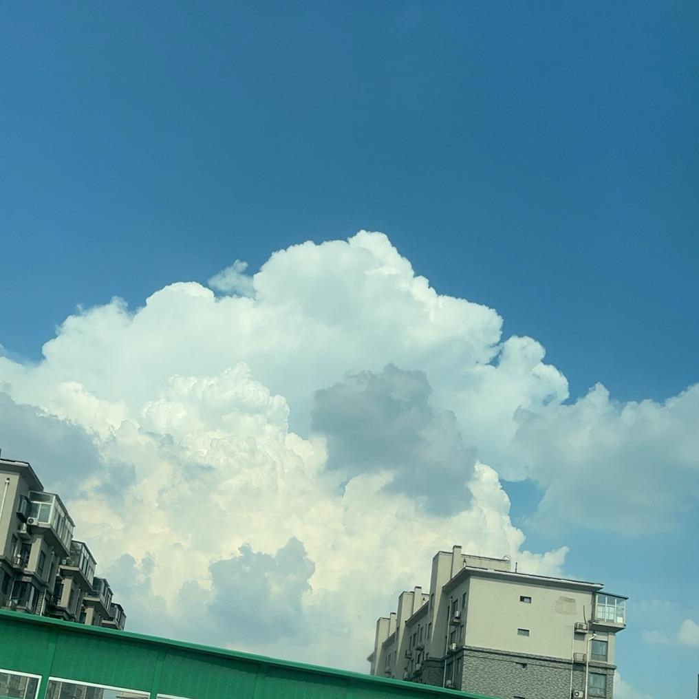 余生随心