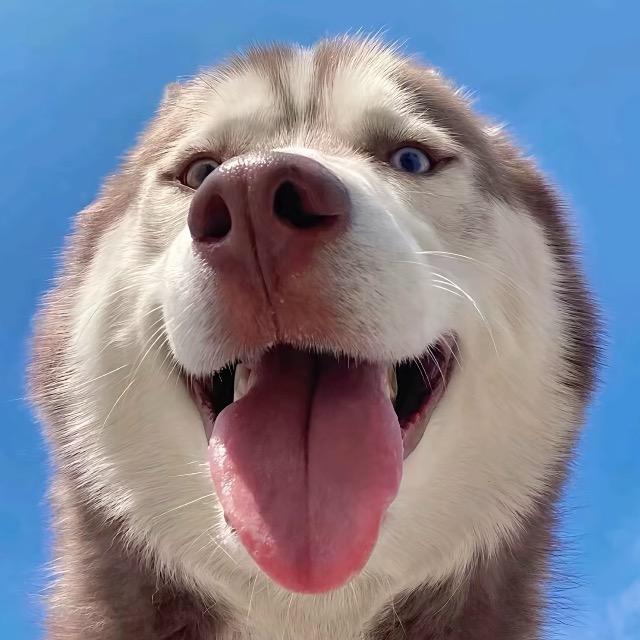 励志