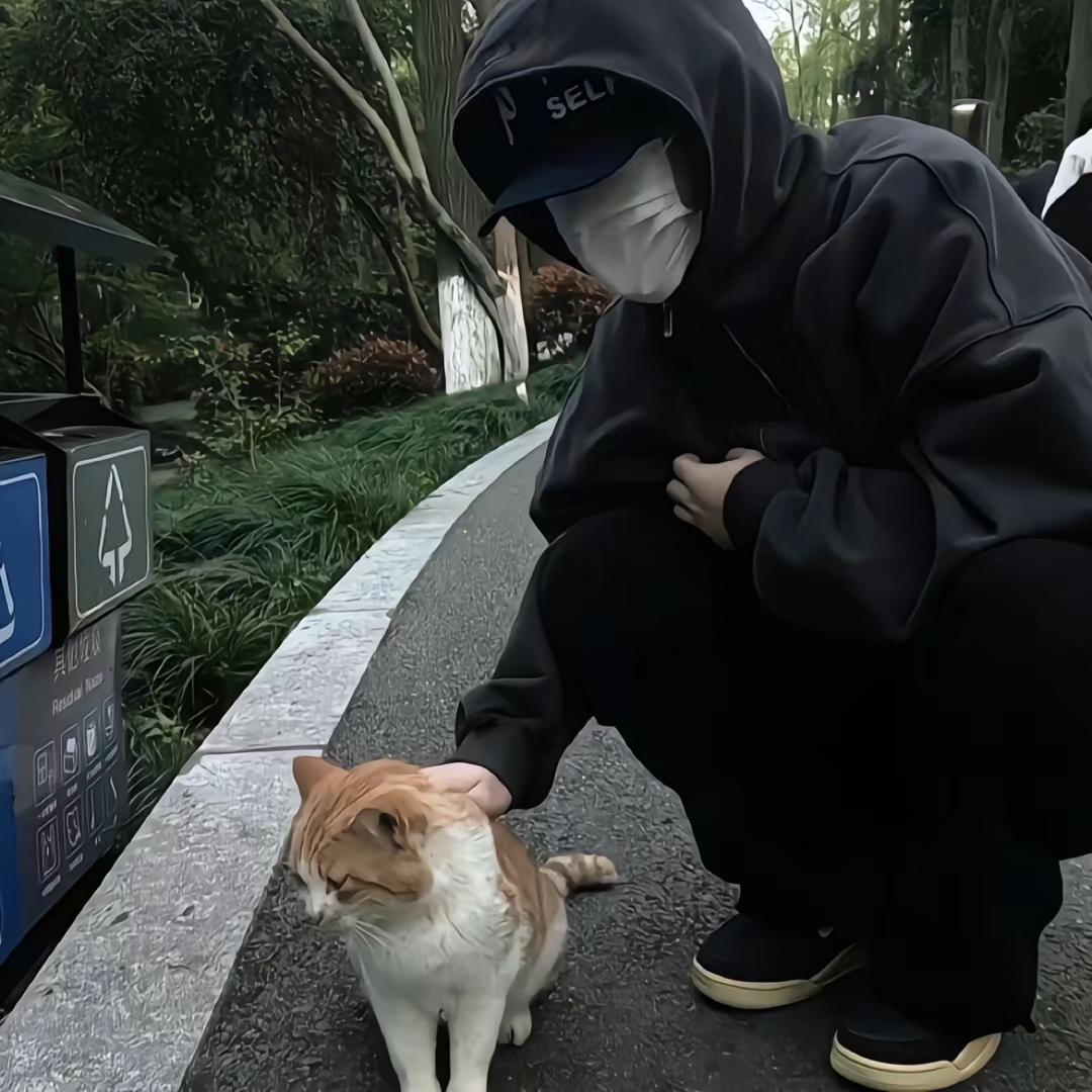 开心果cx
