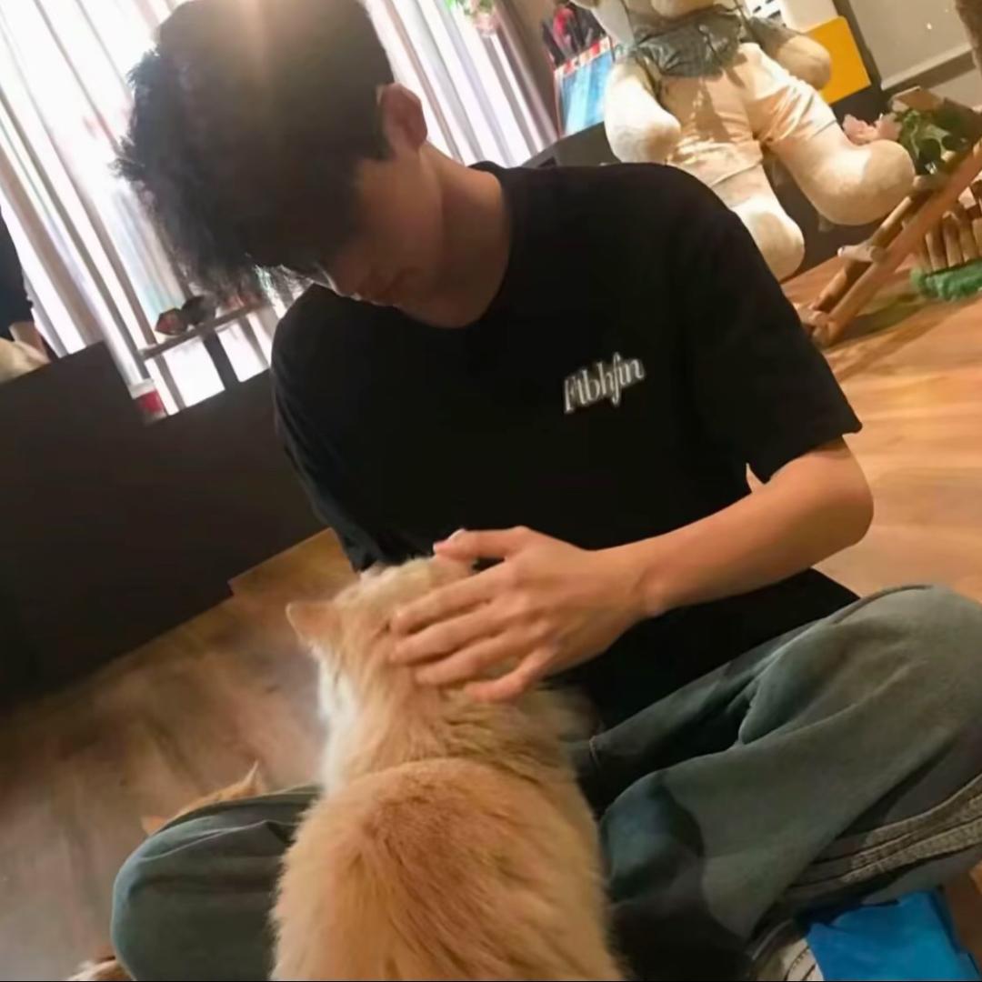 不加冰🧊