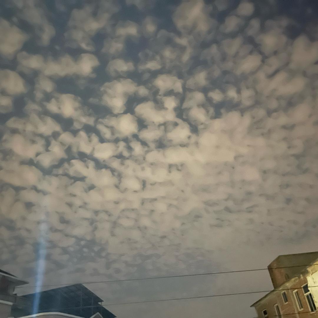 愉心
