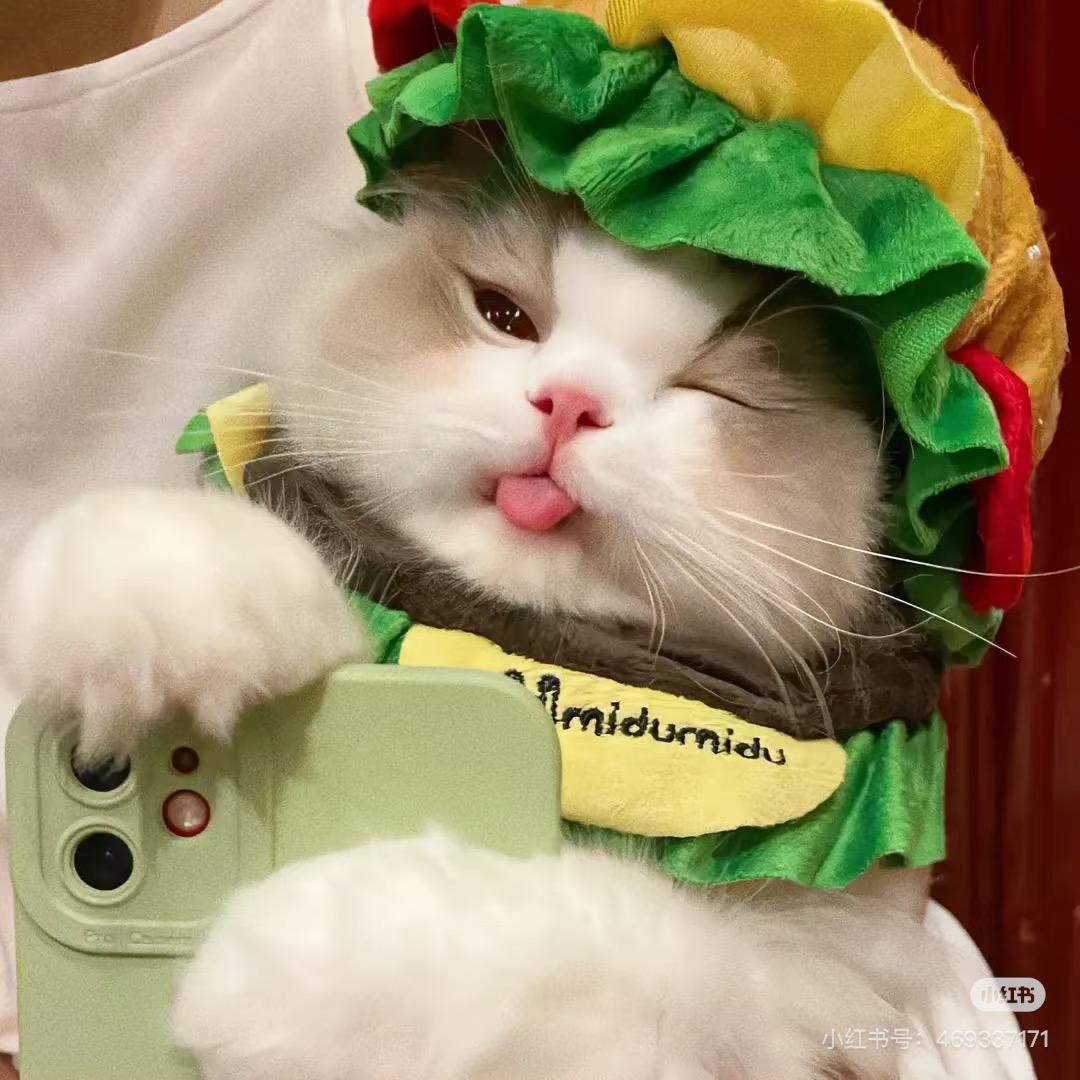 小财迷