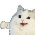 丢丢宝贝