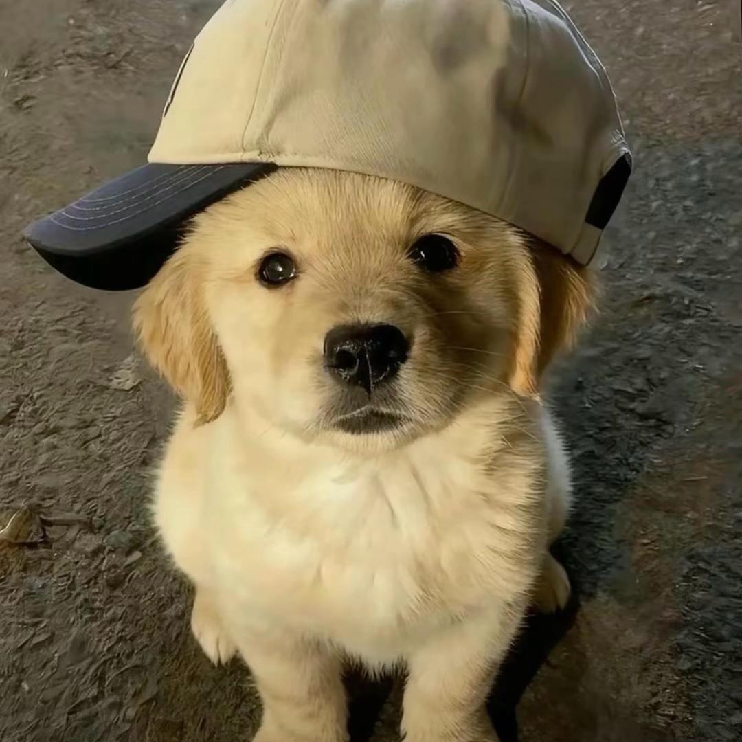 忧郁的农村入