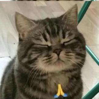 西瓜瓜
