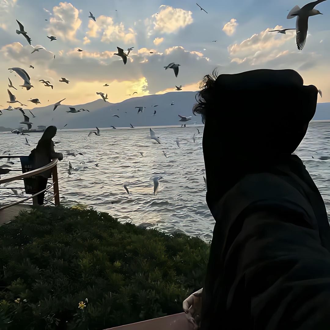 半亩月光
