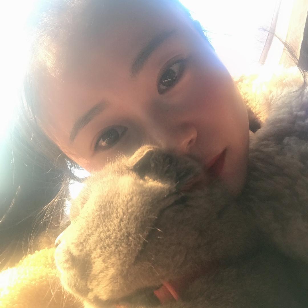 @@🐰