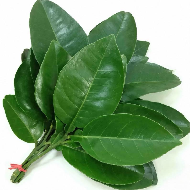 板蓝根