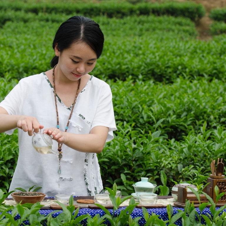 香香～精选