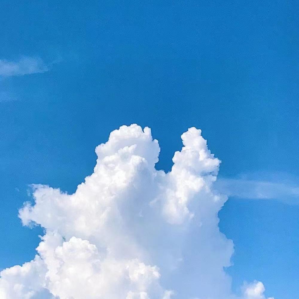 断·舍·离