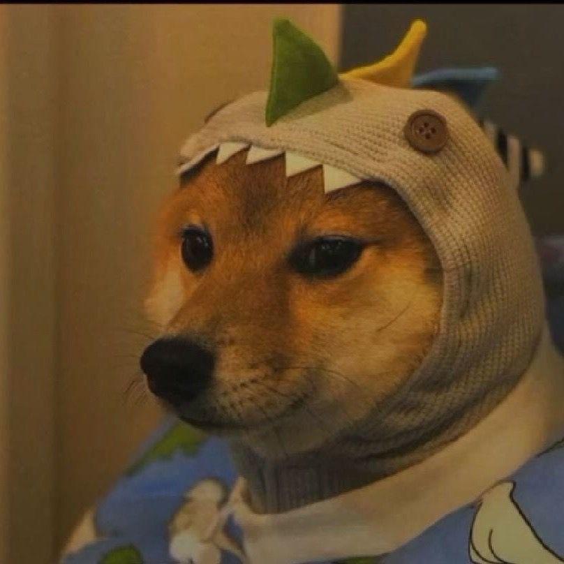 草木对光阴的钟情