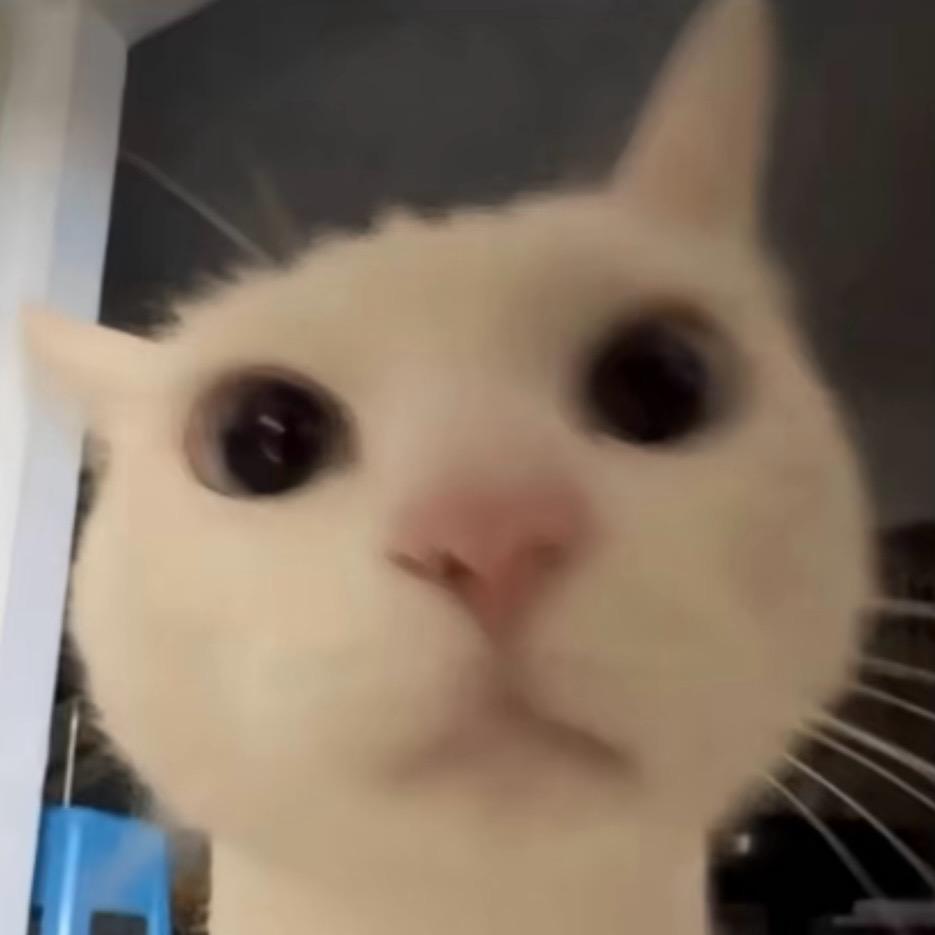 甜甜Qing