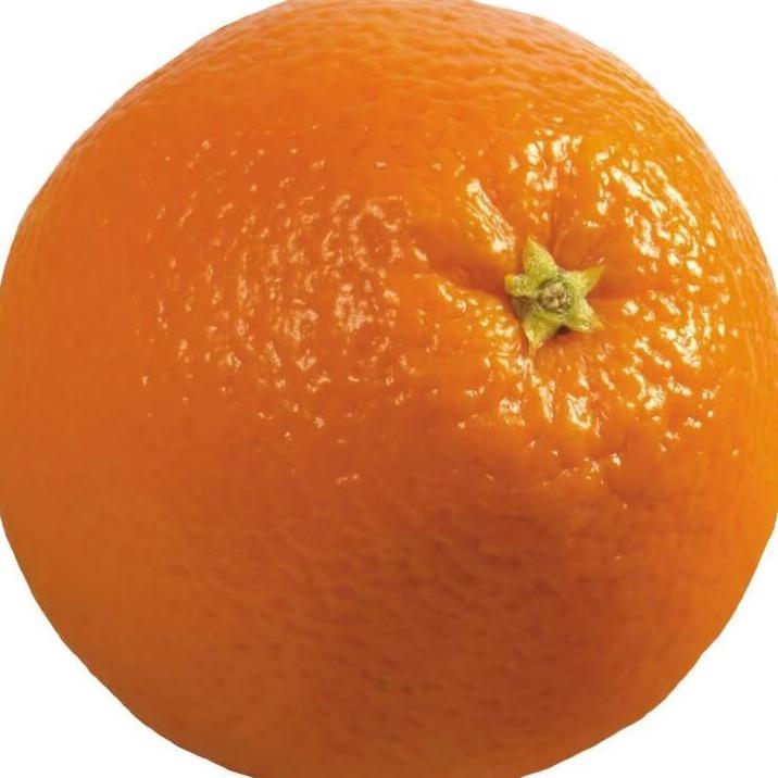 大吉🍊