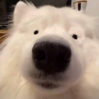 易通商贸