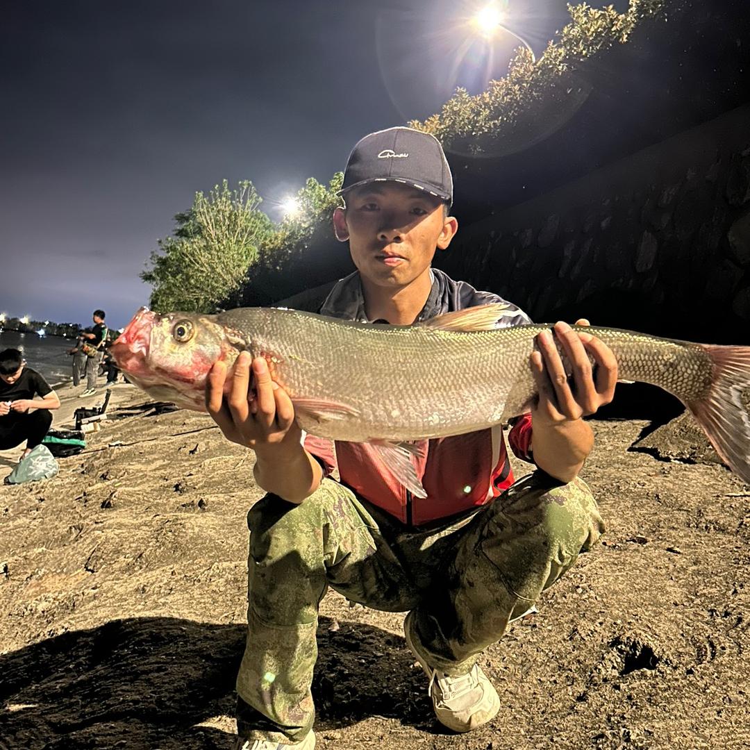 野钓🎣大可