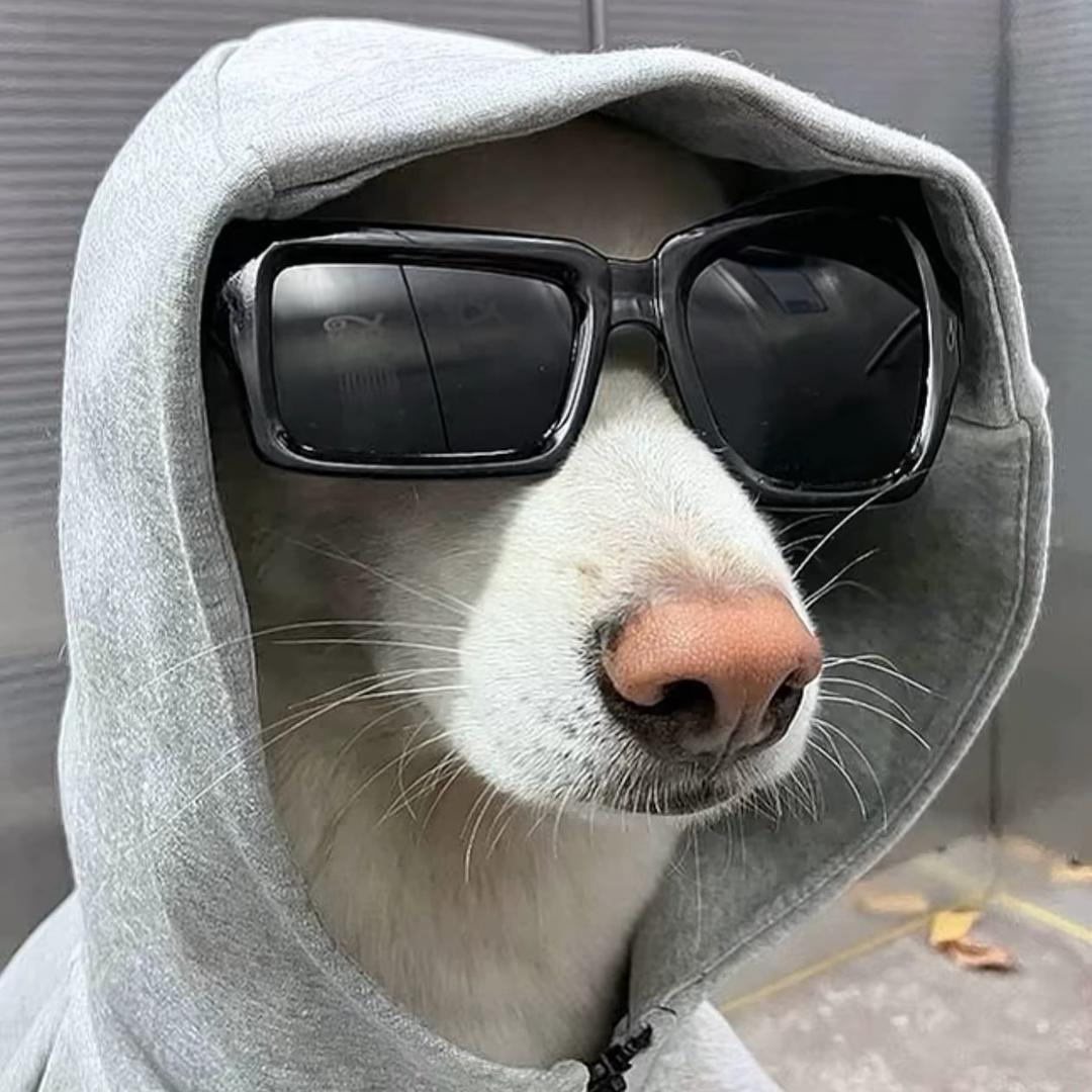 章鱼小丸子