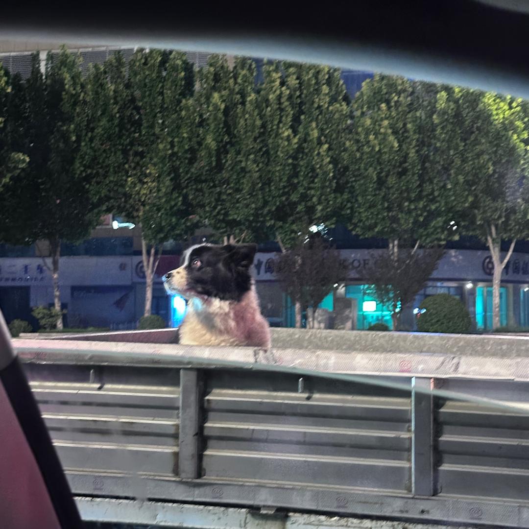 万海金地黑金bar菜菜(调酒师