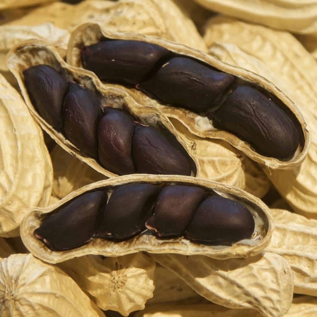 云南山咔啦山货