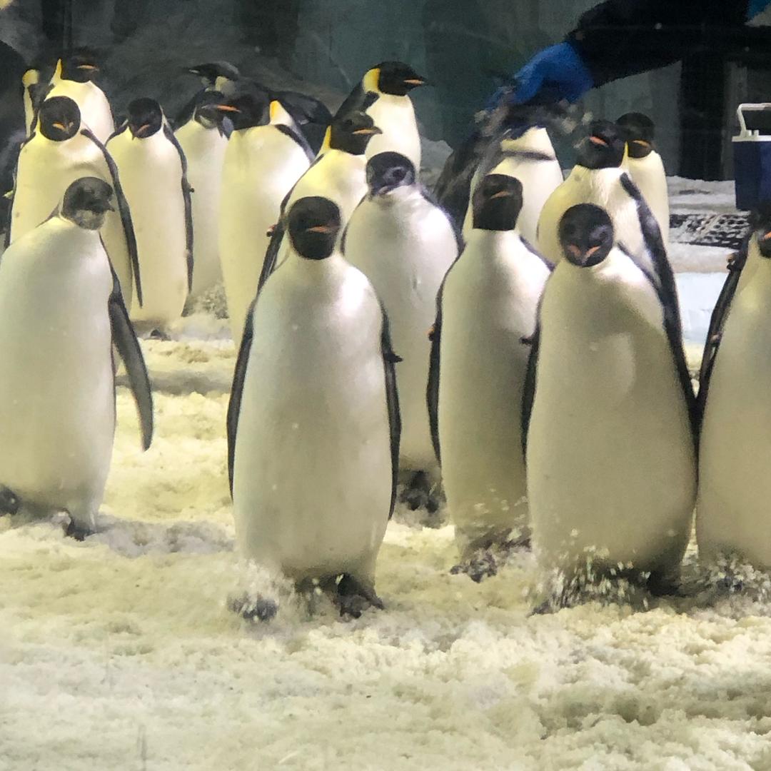 🌈小鱼儿的幸福生活