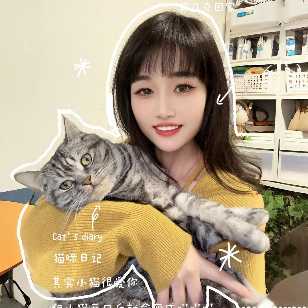 好多猫的阿鱼