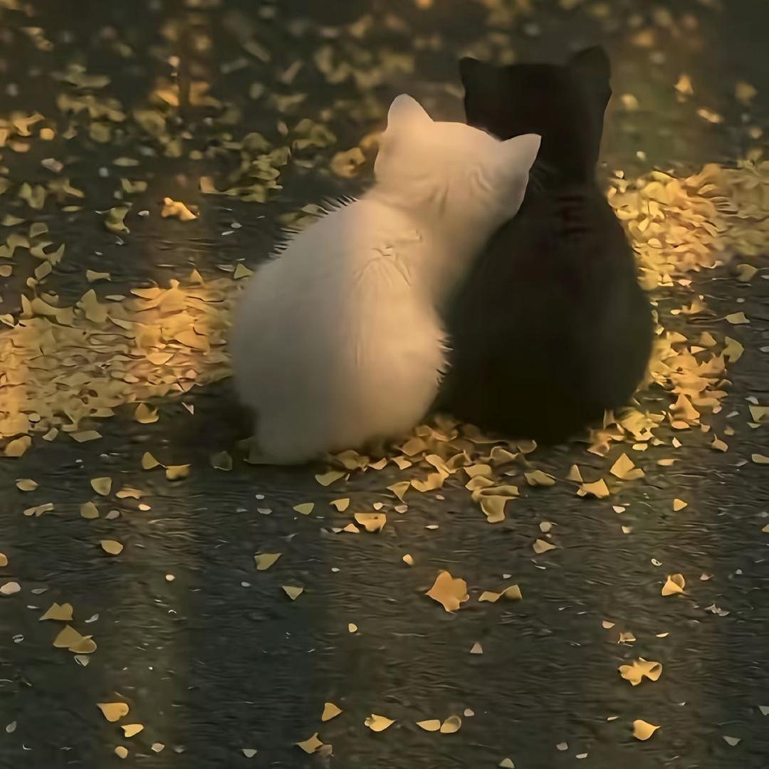 凌乱的人生