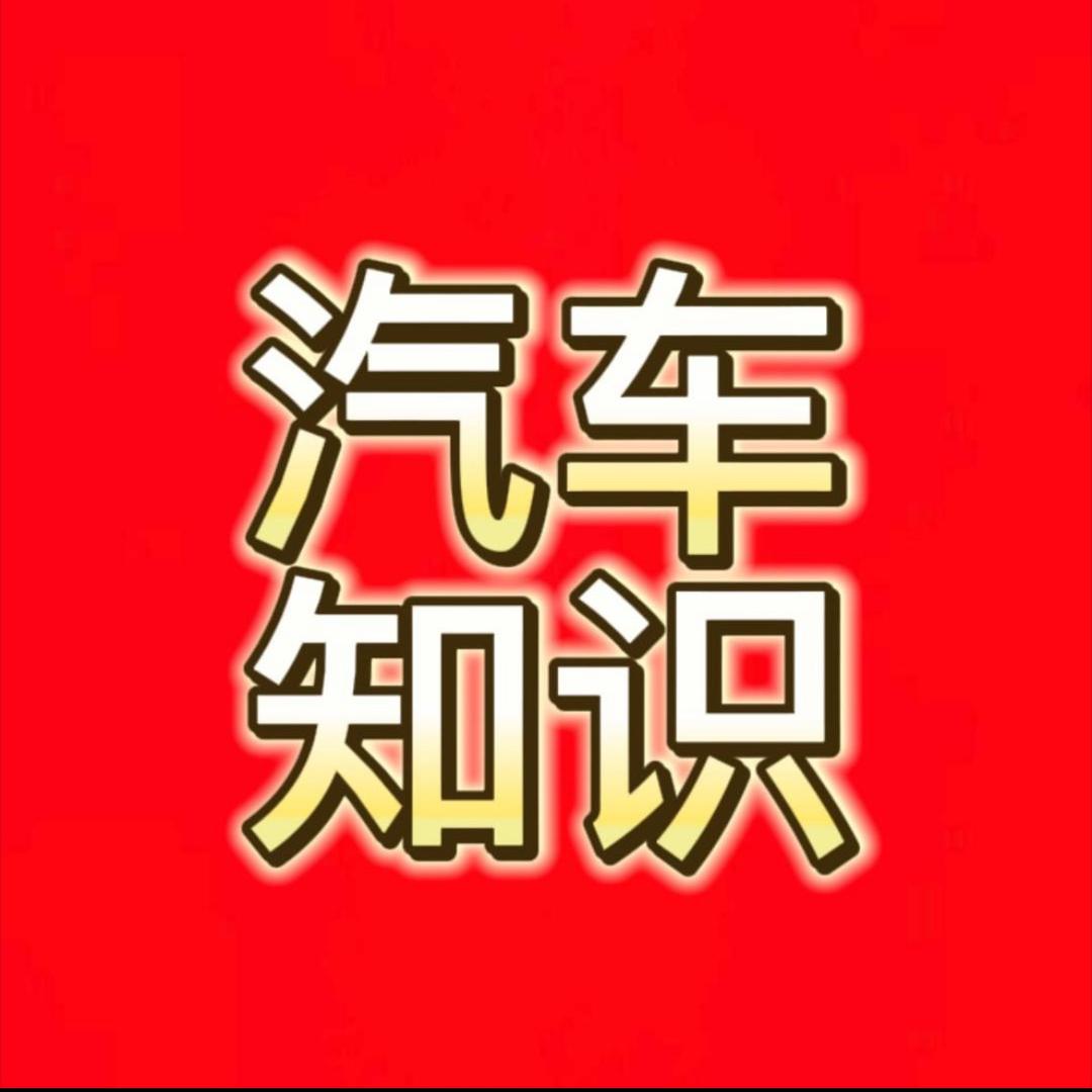 闯哥拍车