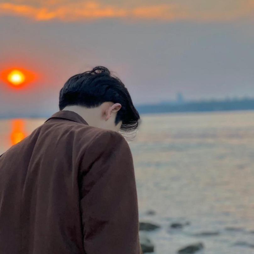 天津猫圈小董（售猫）