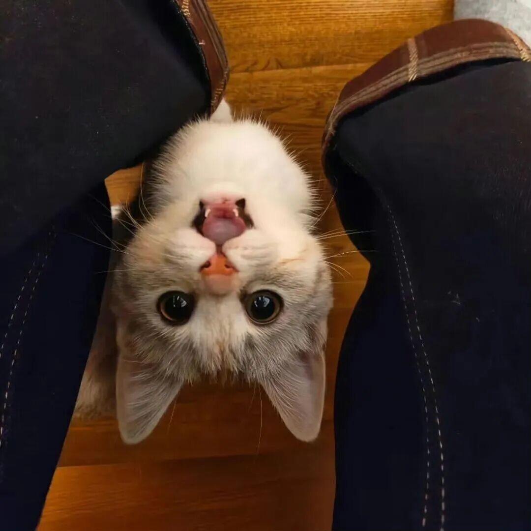 寻