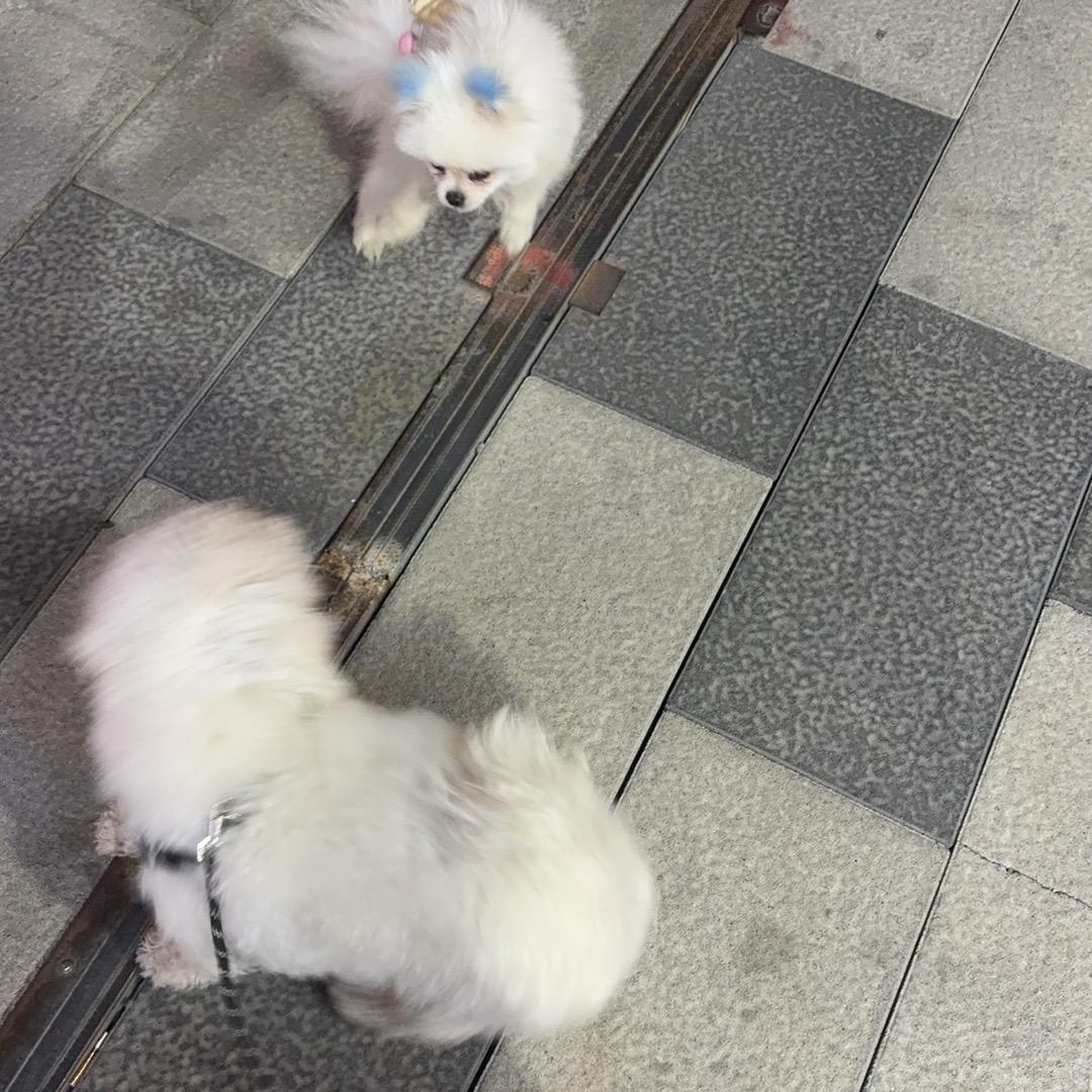 王彩霞