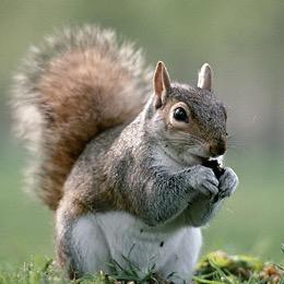 池州乐飞无人机-吴教