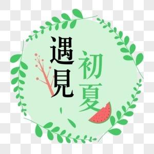 遇见初夏☘️