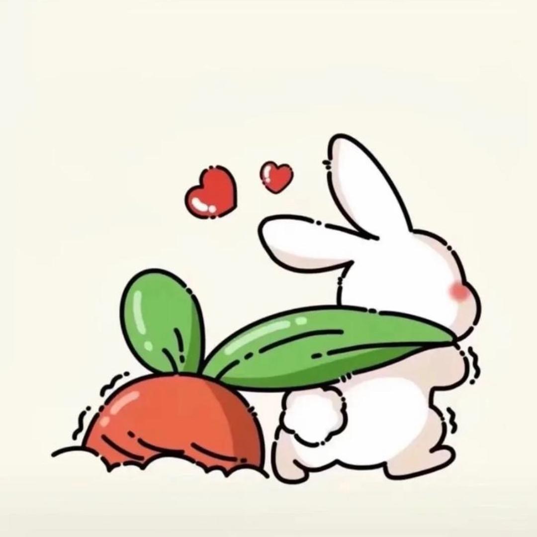 兔子🐰