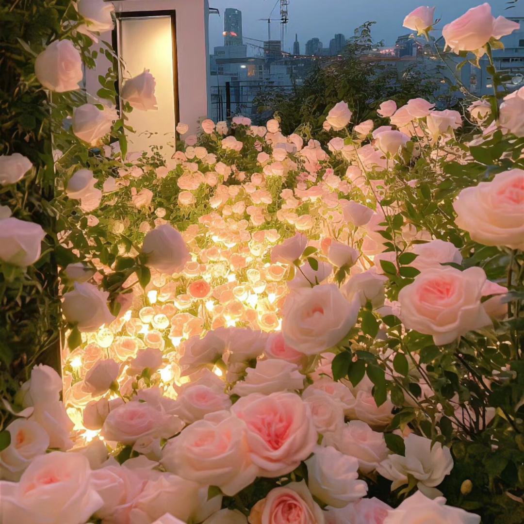 铁牛🐮（瓜🍉師）