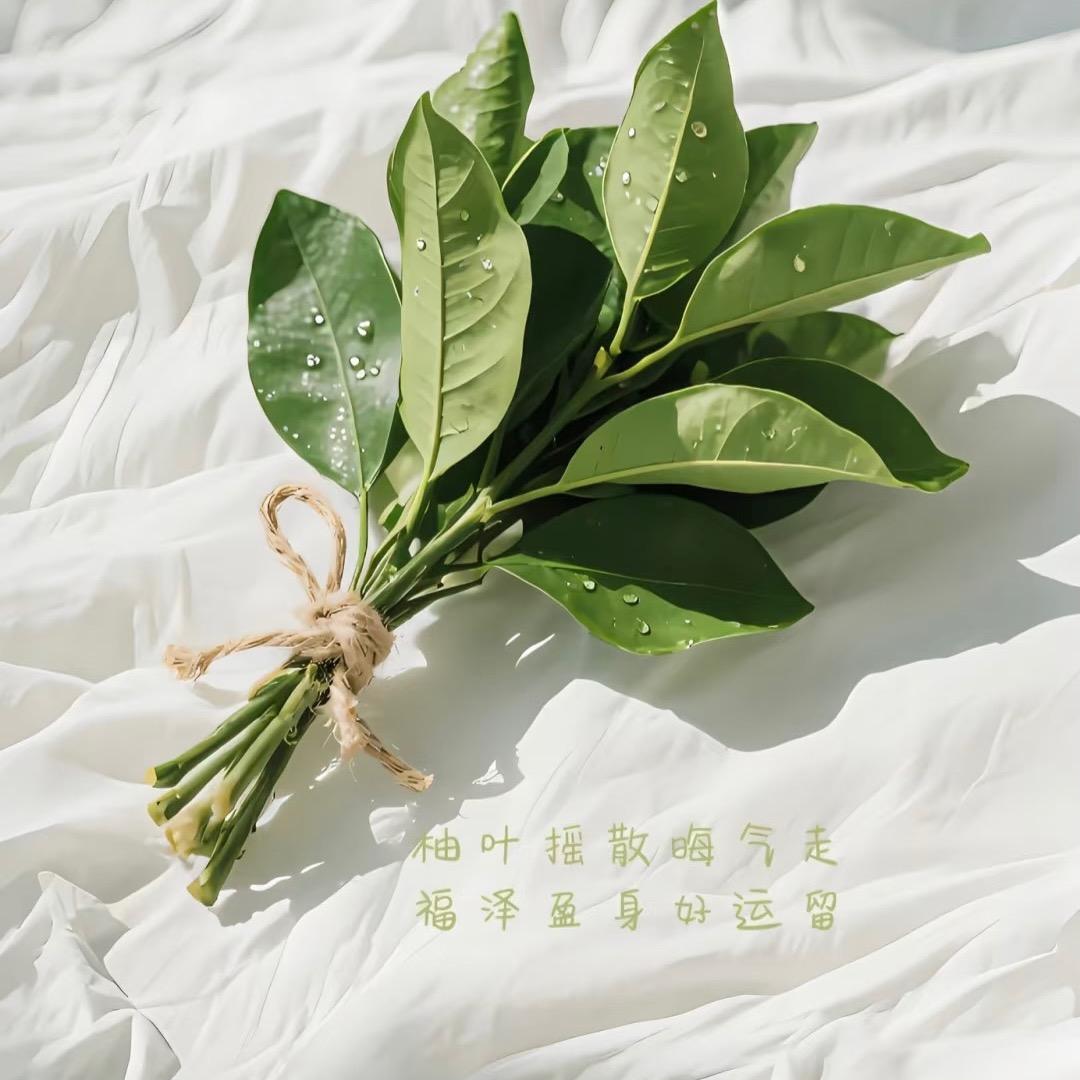 沫沫💐