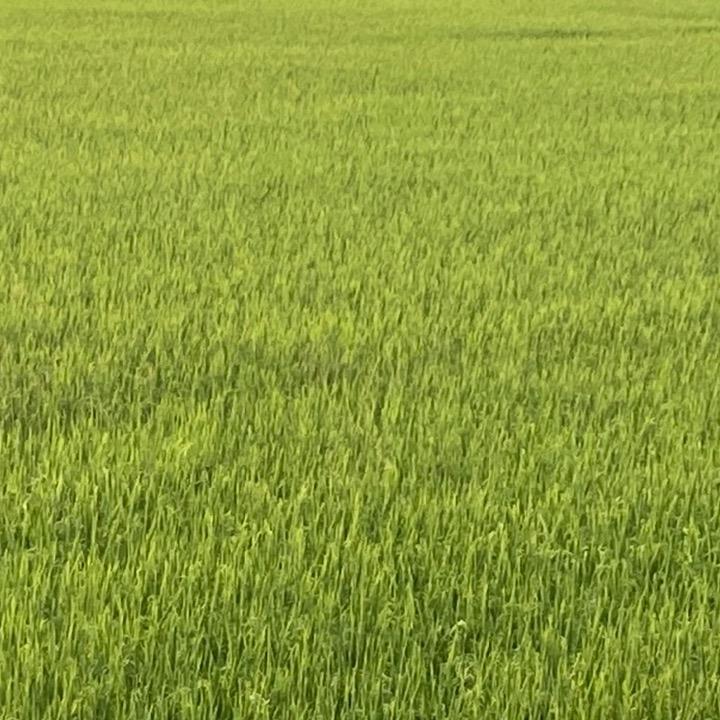 空降奇兵
