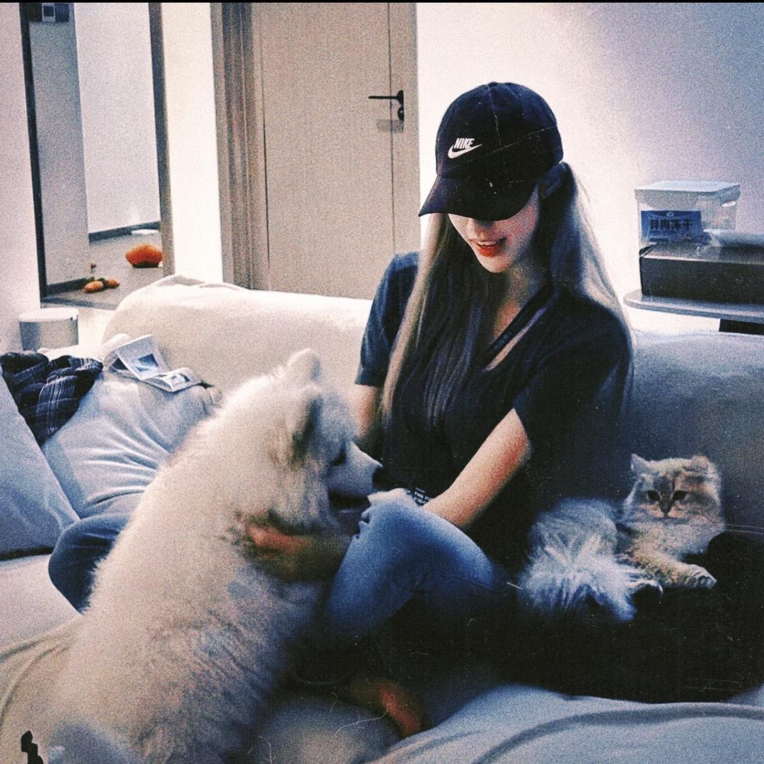 原阳艺星架子鼓